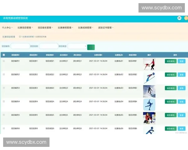 基于体育智能赛程优化系统的应用与发展探索