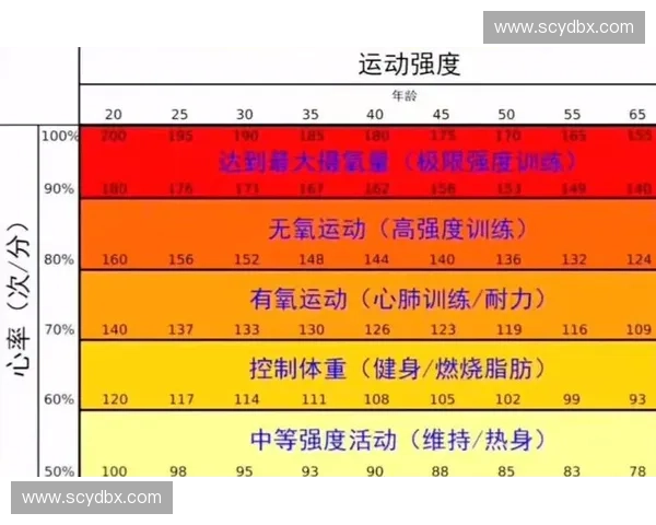 基于运动强度的科学训练规划与健康效益提升研究策略与实践路径分析