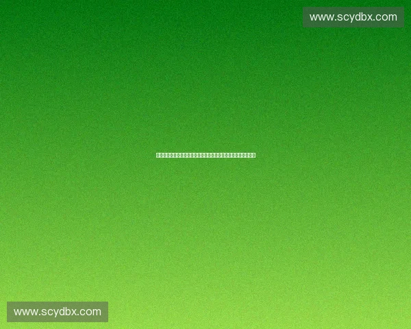 以体育资金监管为核心推动体育事业规范高效发展的制度创新研究