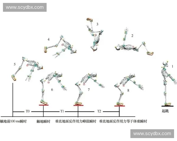 基于起跳反应机制的运动表现分析与优化策略研究